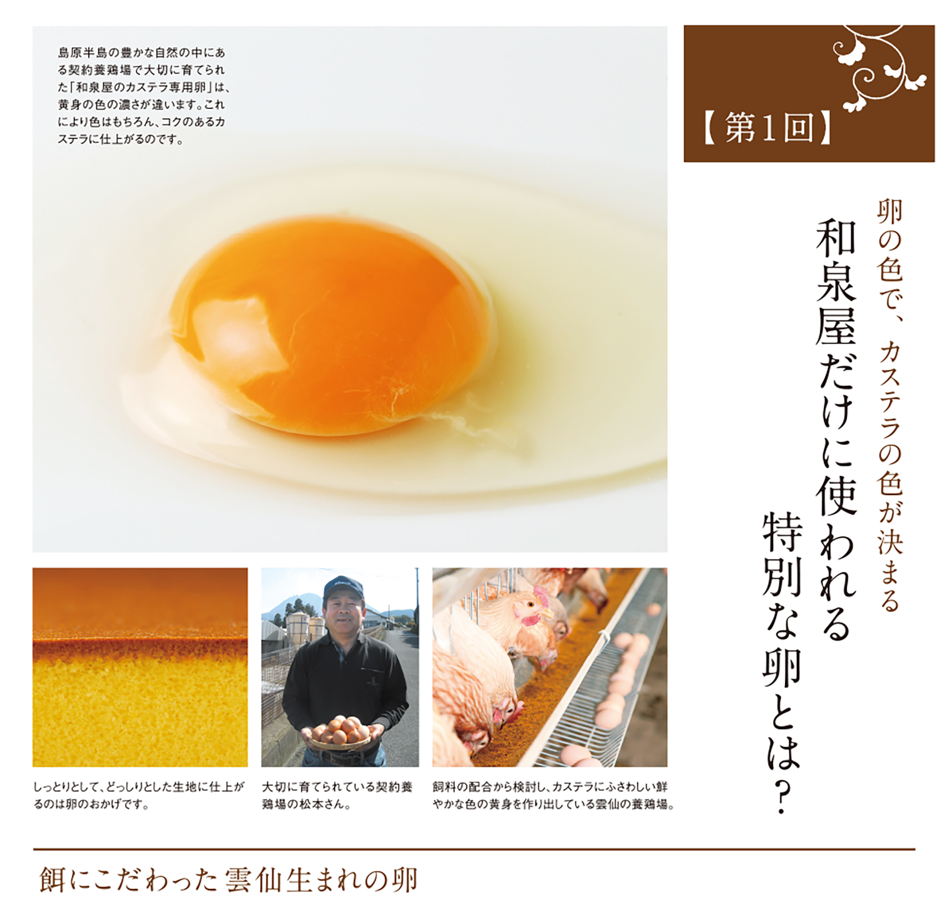 第１回 卵色でカステラの色が決まる 和泉屋だけに使われる特別な卵とは？